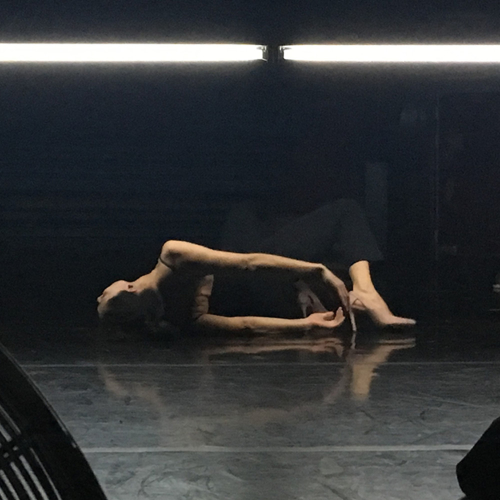 Bin&ocirc;me - © La Reine Blanche